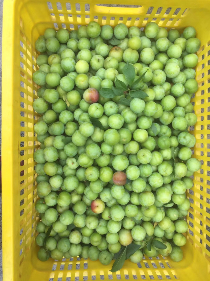 三月李。多多买菜。美团优选。电商合作