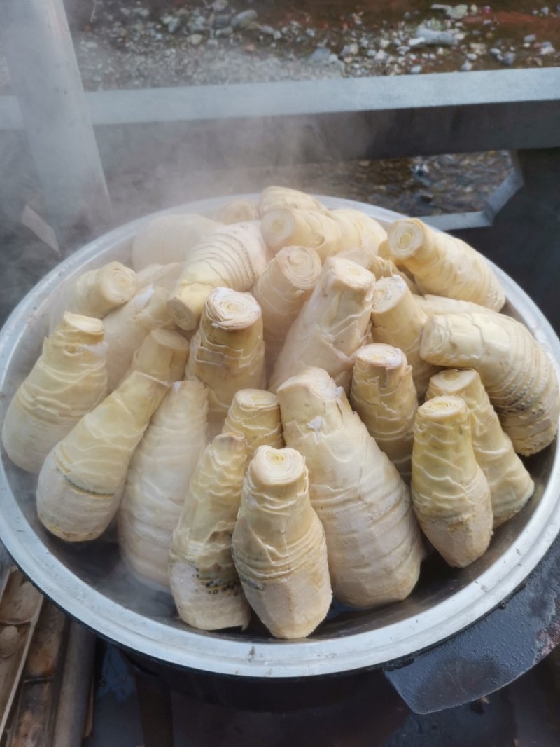 大量供应春笋类