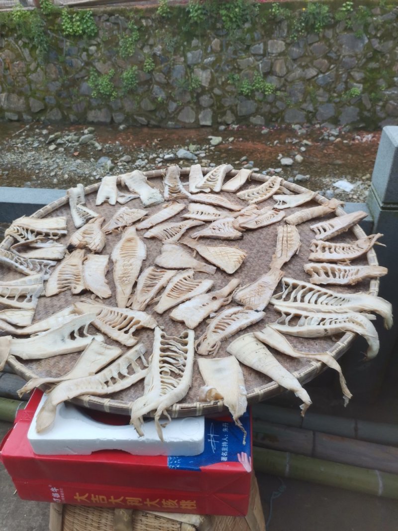 大量供应春笋类