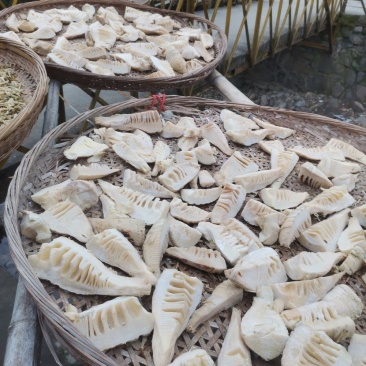 大量供应春笋类