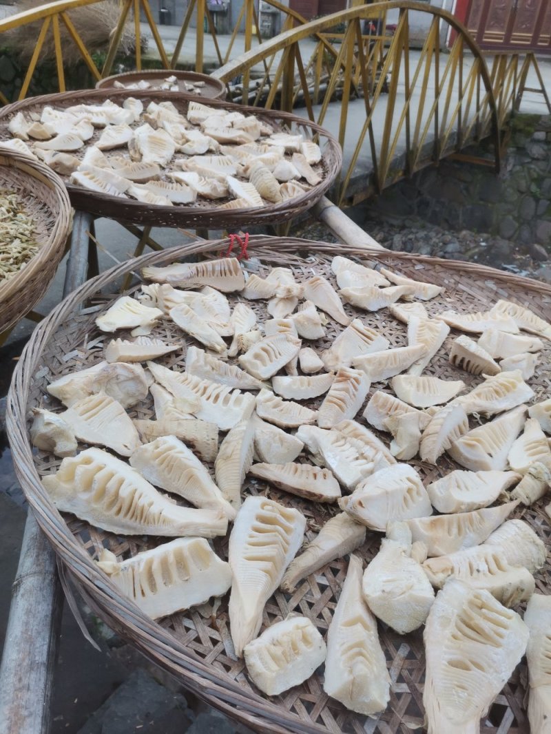 大量供应春笋类