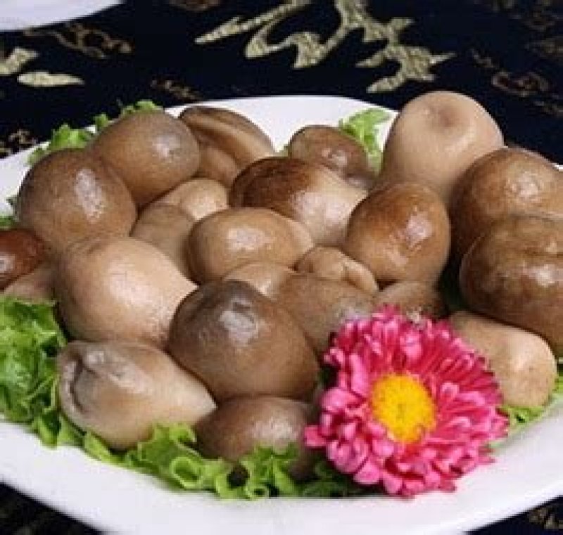 草菇