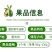 包邮牛油果水果批发巨无霸鳄梨新鲜当季水果一件代发