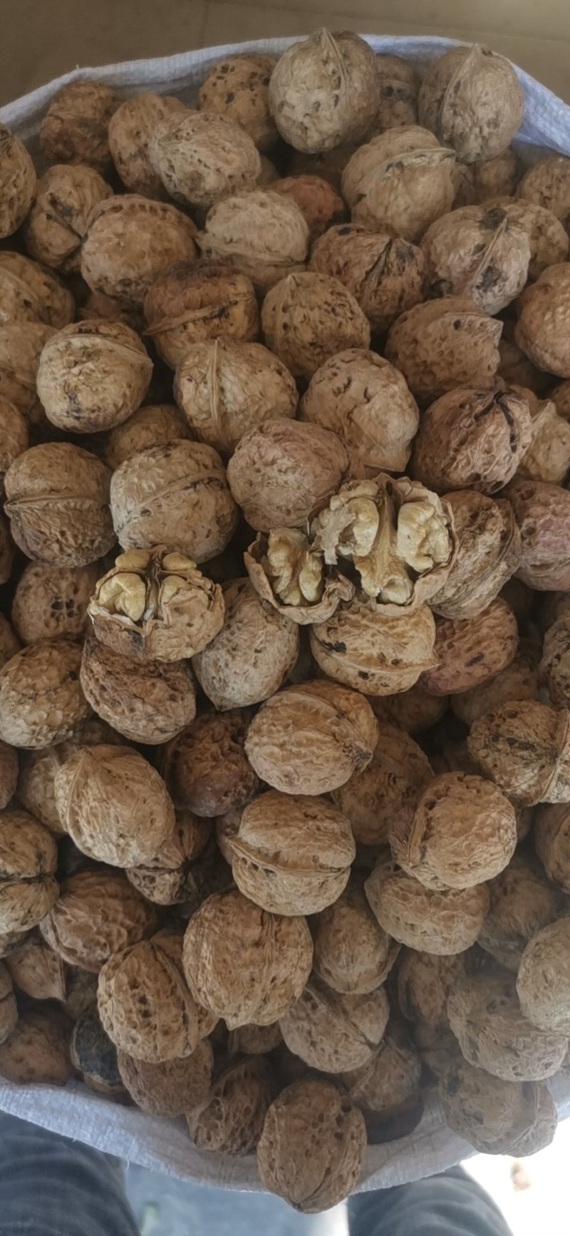 大理漾濞核桃大果