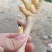 鸡