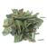 淡竹叶，常年批发供应淡竹叶，中药材，量大从优欢迎选购