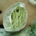 山东商河精品扁青芸豆产地直供高品质鲜扁芸豆