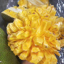 海南黄心菠萝蜜新鲜水果当季超甜水果