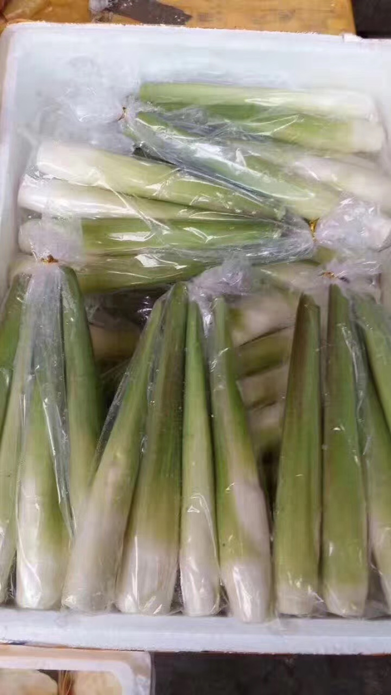 茭白