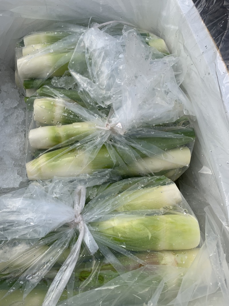 茭白