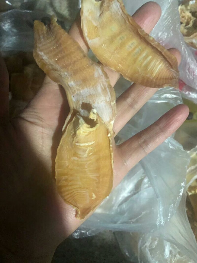 福建笋干新鲜出炉，有质有量，欢迎骚扰