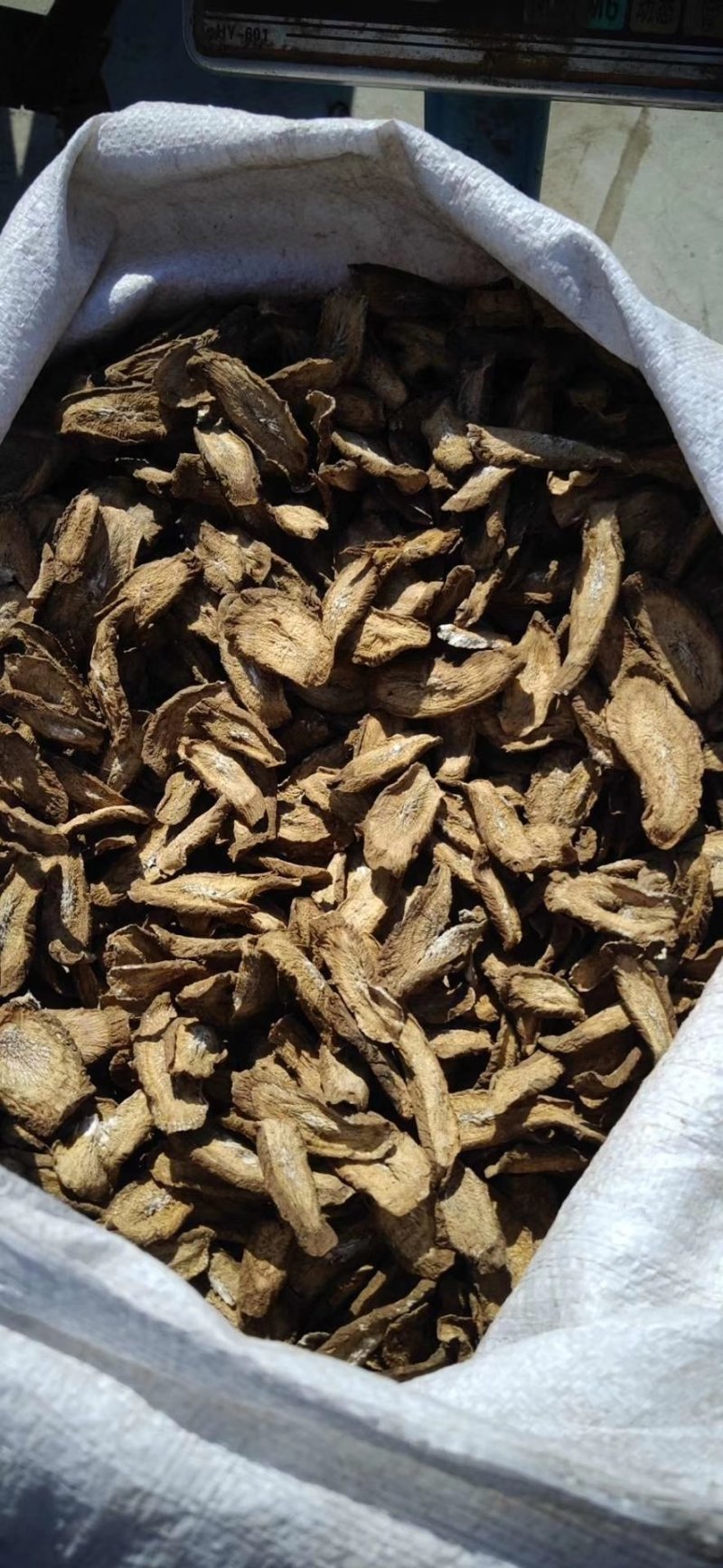 牛蒡产品各种规格当季新货牛蒡正宗现挖