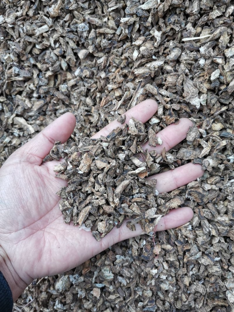 牛蒡产品各种规格当季新货牛蒡正宗现挖
