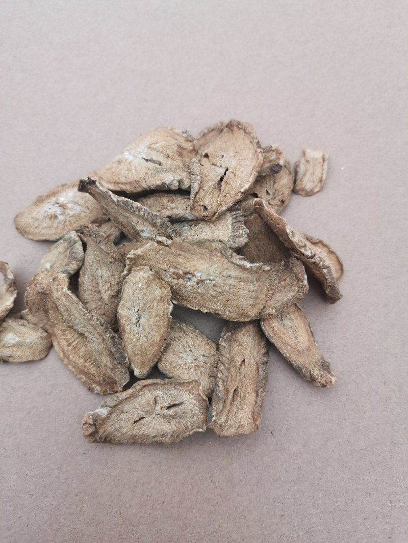 牛蒡产品各种规格当季新货牛蒡正宗现挖
