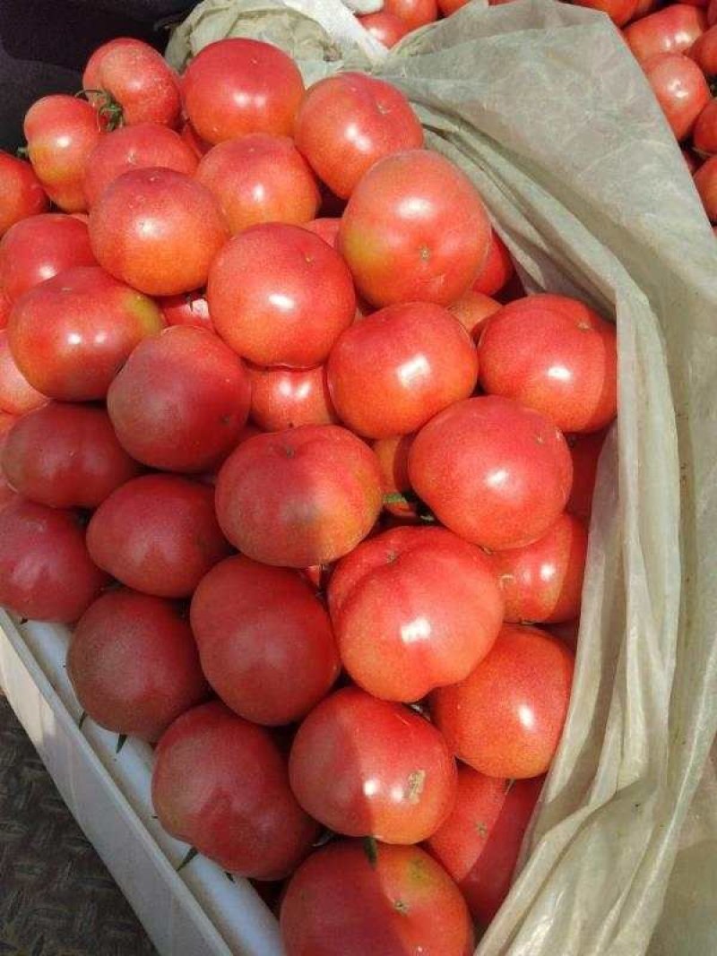 蔬菜水果