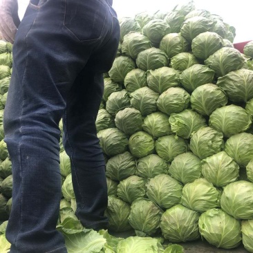 蔬菜水果