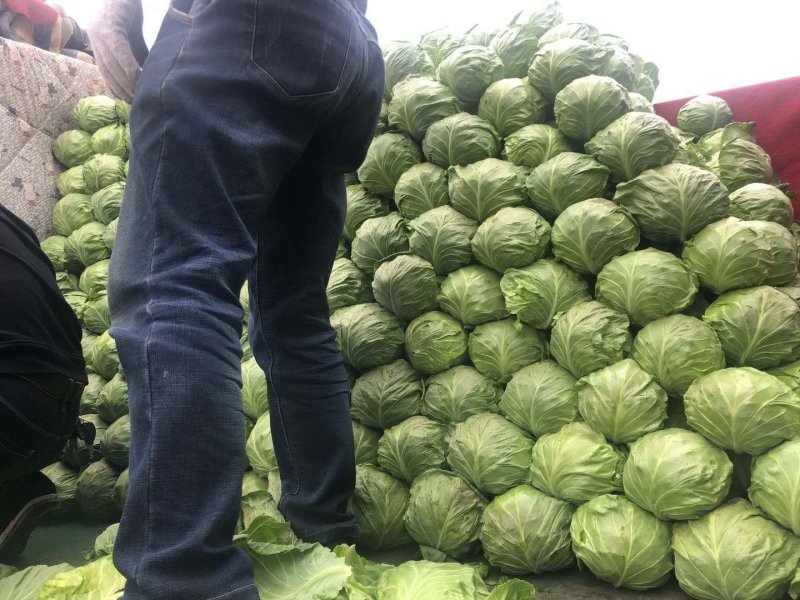 蔬菜水果