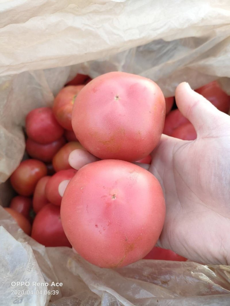 蔬菜水果