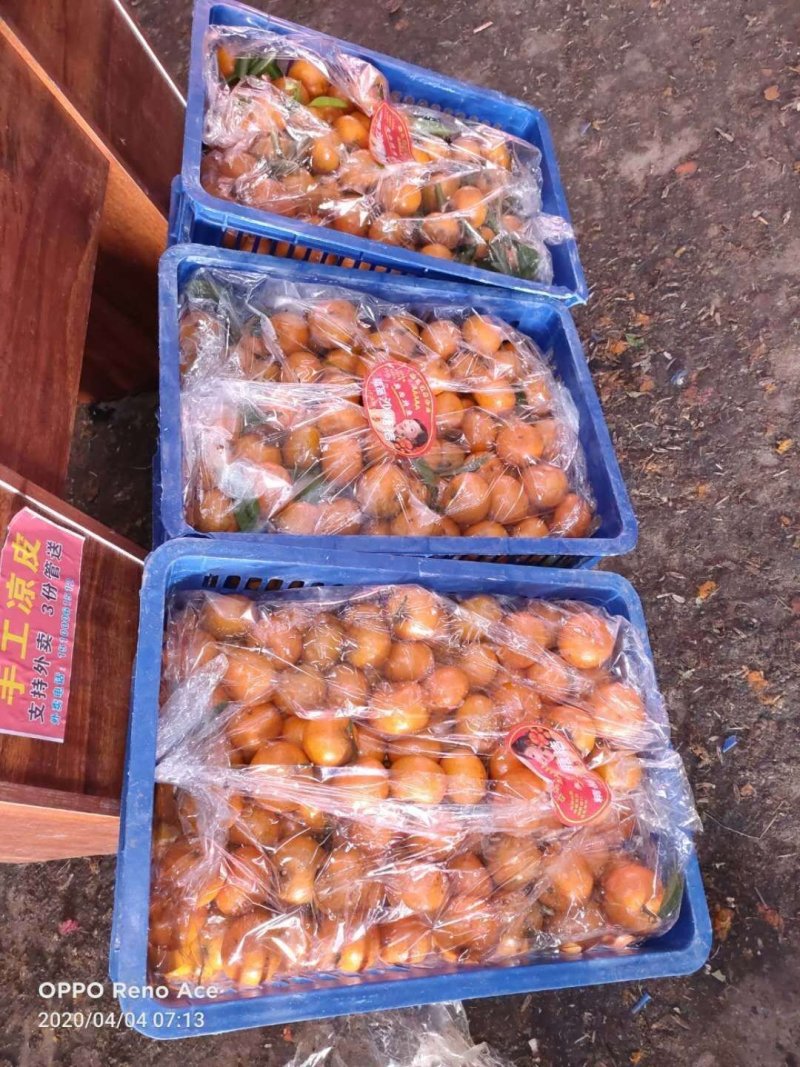 蔬菜水果
