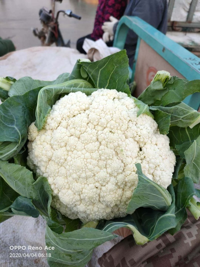 蔬菜水果