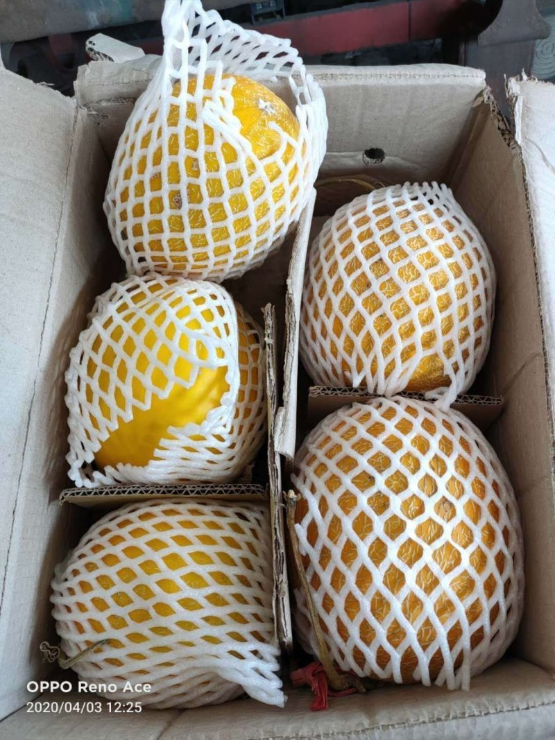 蔬菜水果