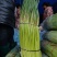 蔬菜水果