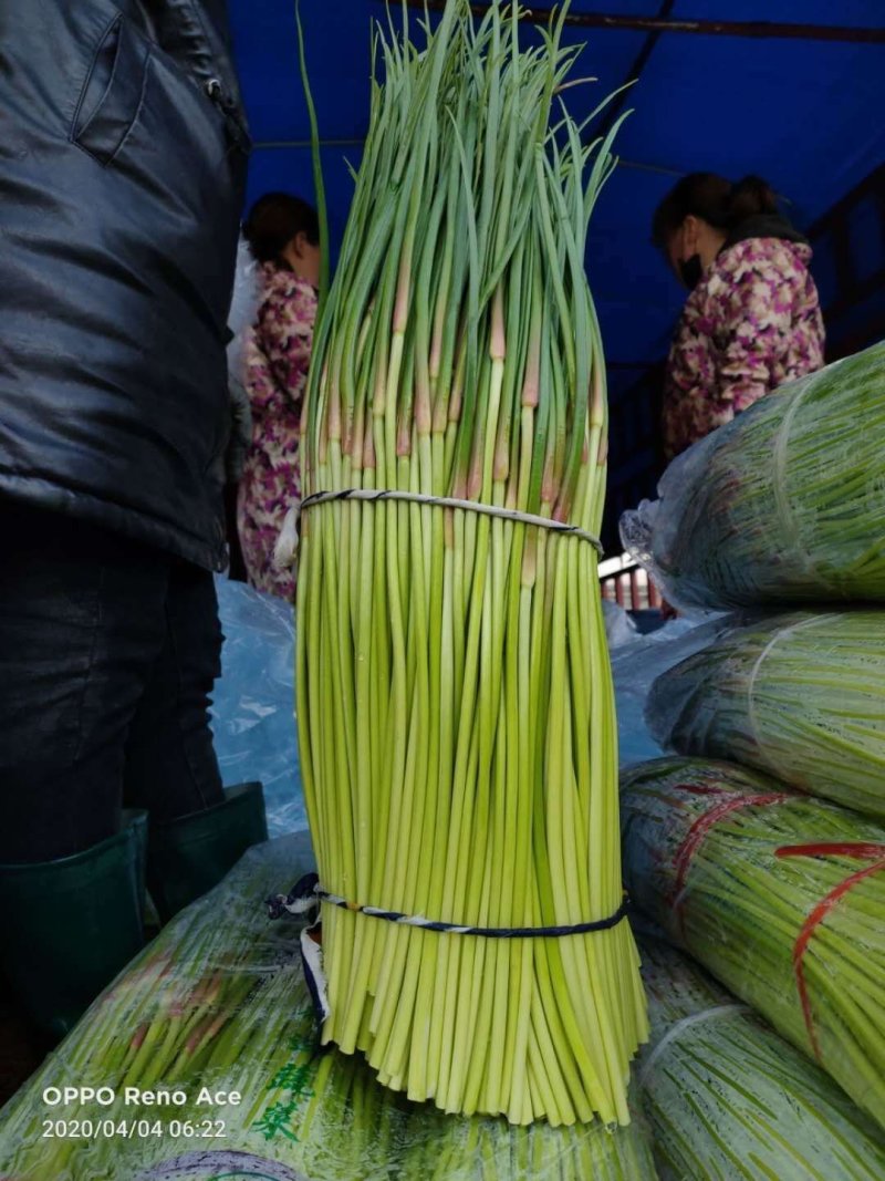 蔬菜水果