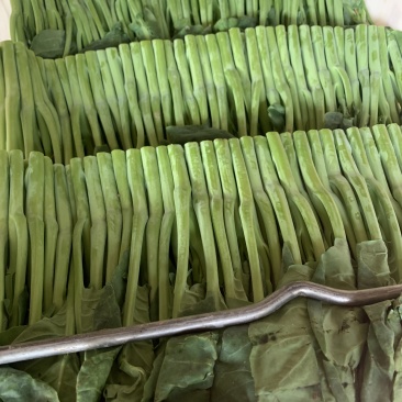 芥兰中花