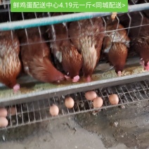 规模化养殖场