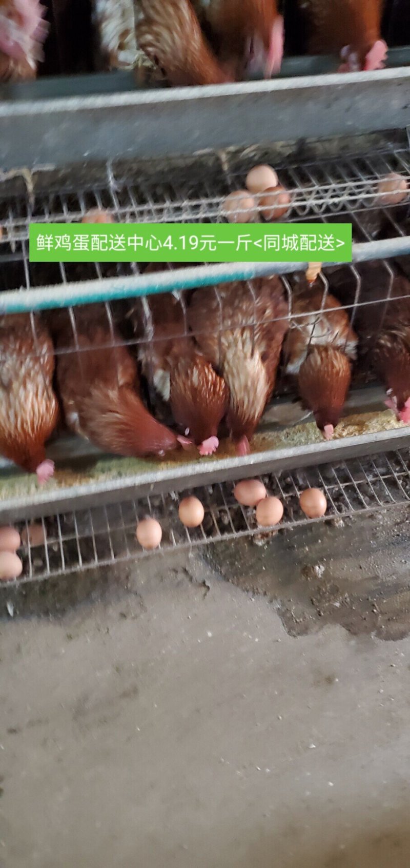 规模化养殖场
