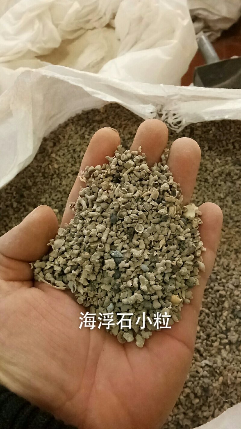 海浮石浮海石花天然矿石类中药材