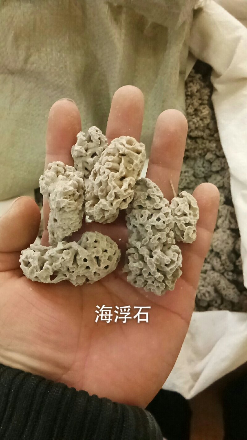 海浮石浮海石花天然矿石类中药材