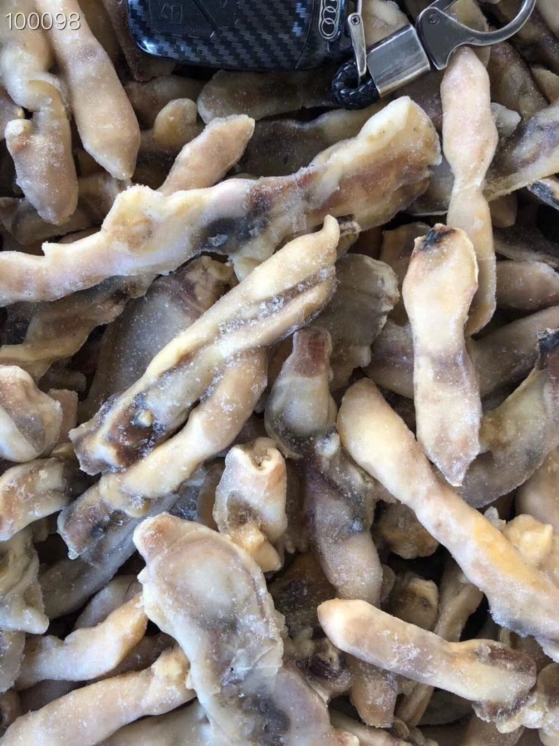 辽宁东港新鲜加工的竹蛏肉冷冻和新鲜都有质量好