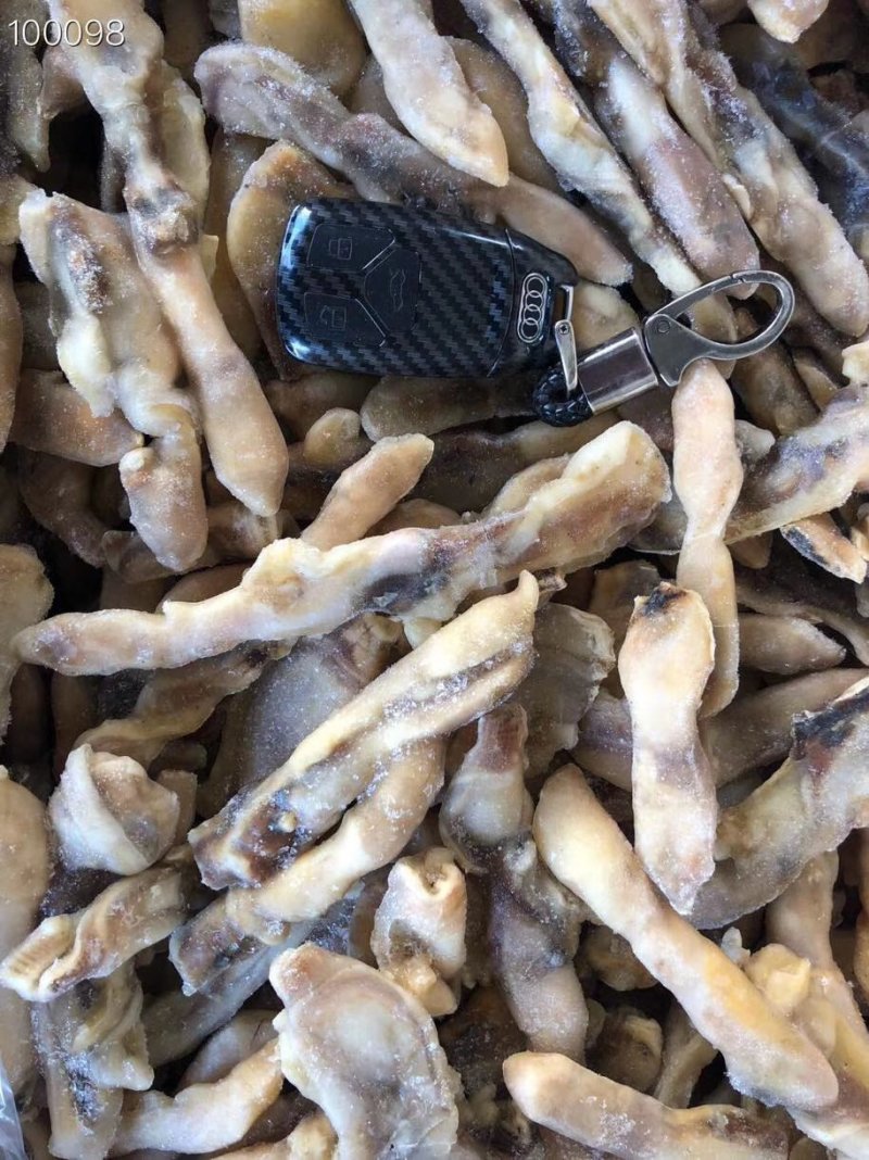 辽宁东港新鲜加工的竹蛏肉冷冻和新鲜都有质量好