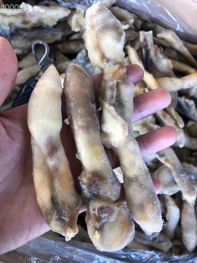 辽宁东港新鲜加工的竹蛏肉冷冻和新鲜都有质量好