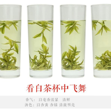 湖北恩施富硒白茶