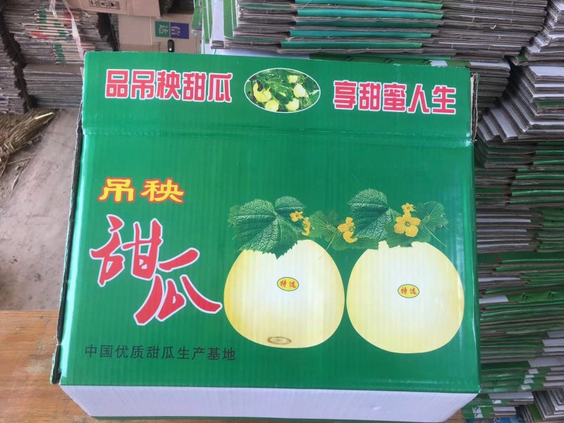 山东香瓜甜瓜，香瓜大量上市，