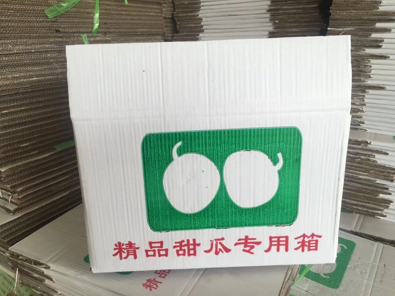 山东香瓜甜瓜，香瓜大量上市，