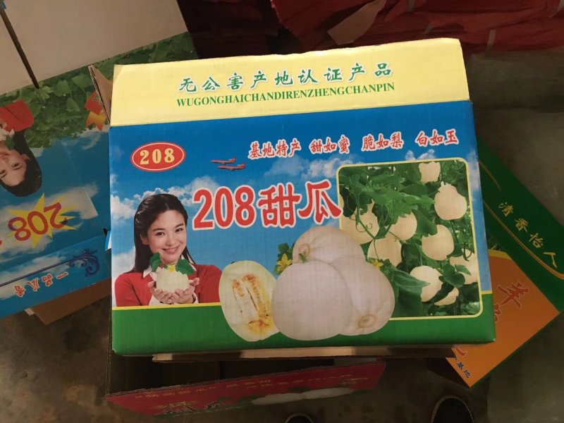 山东香瓜甜瓜，香瓜大量上市，