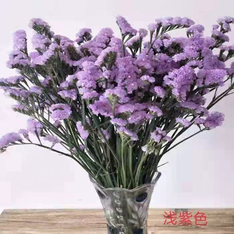 勿忘我
