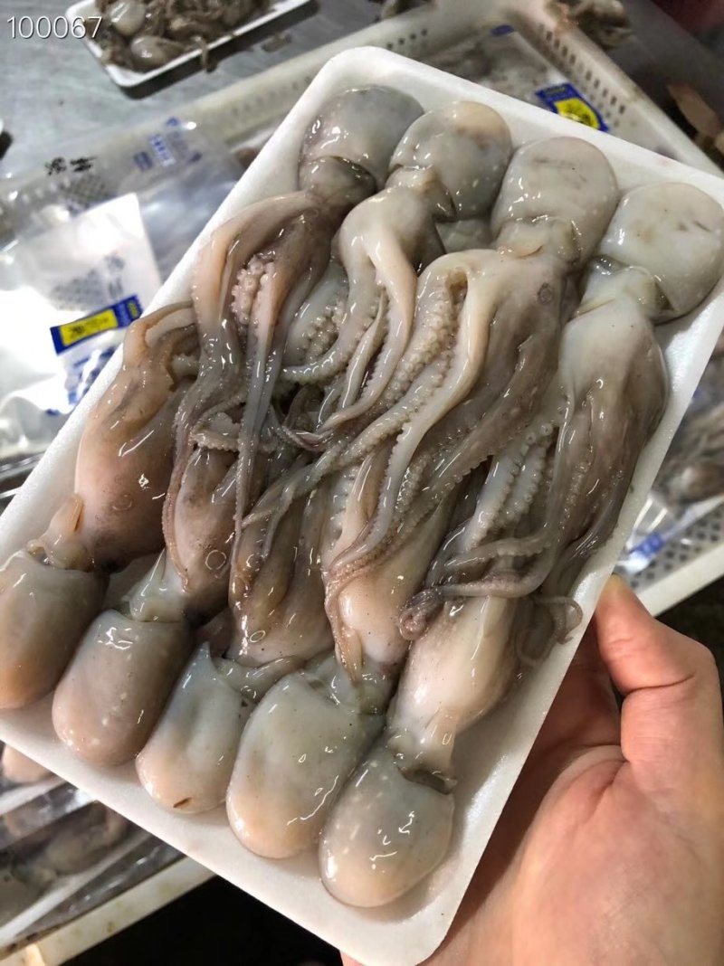 辽宁东港新鲜加工托盘小八爪真空包装质量好