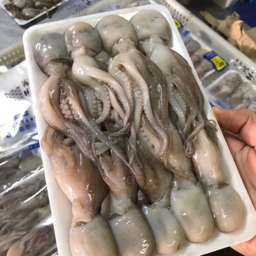 辽宁东港新鲜加工托盘小八爪真空包装质量好