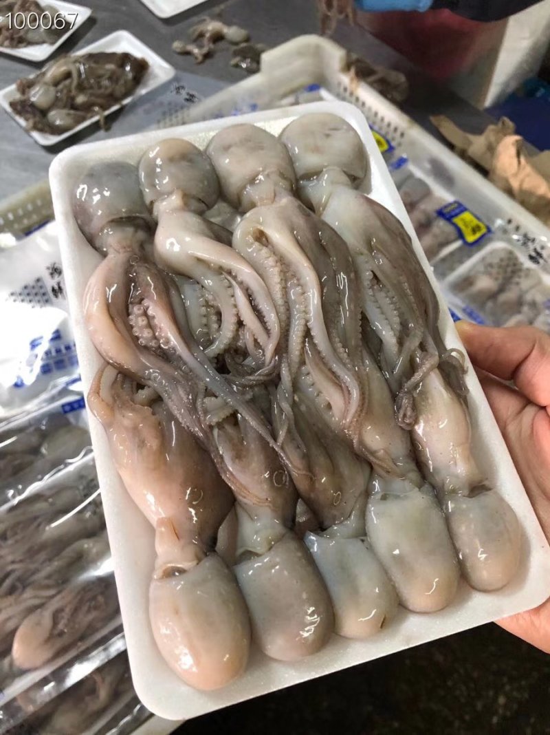 辽宁东港新鲜加工托盘小八爪真空包装质量好