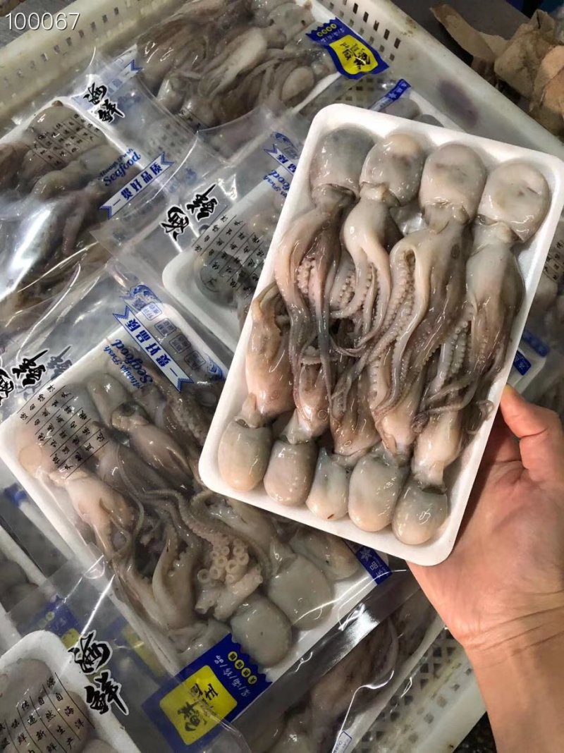 辽宁东港新鲜加工托盘小八爪真空包装质量好