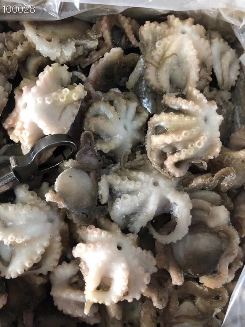 辽宁东港新鲜加工翻花小八爪