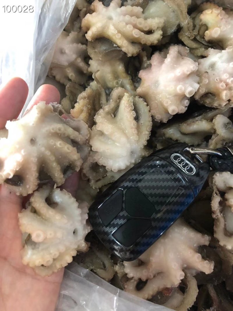 辽宁东港新鲜加工翻花小八爪