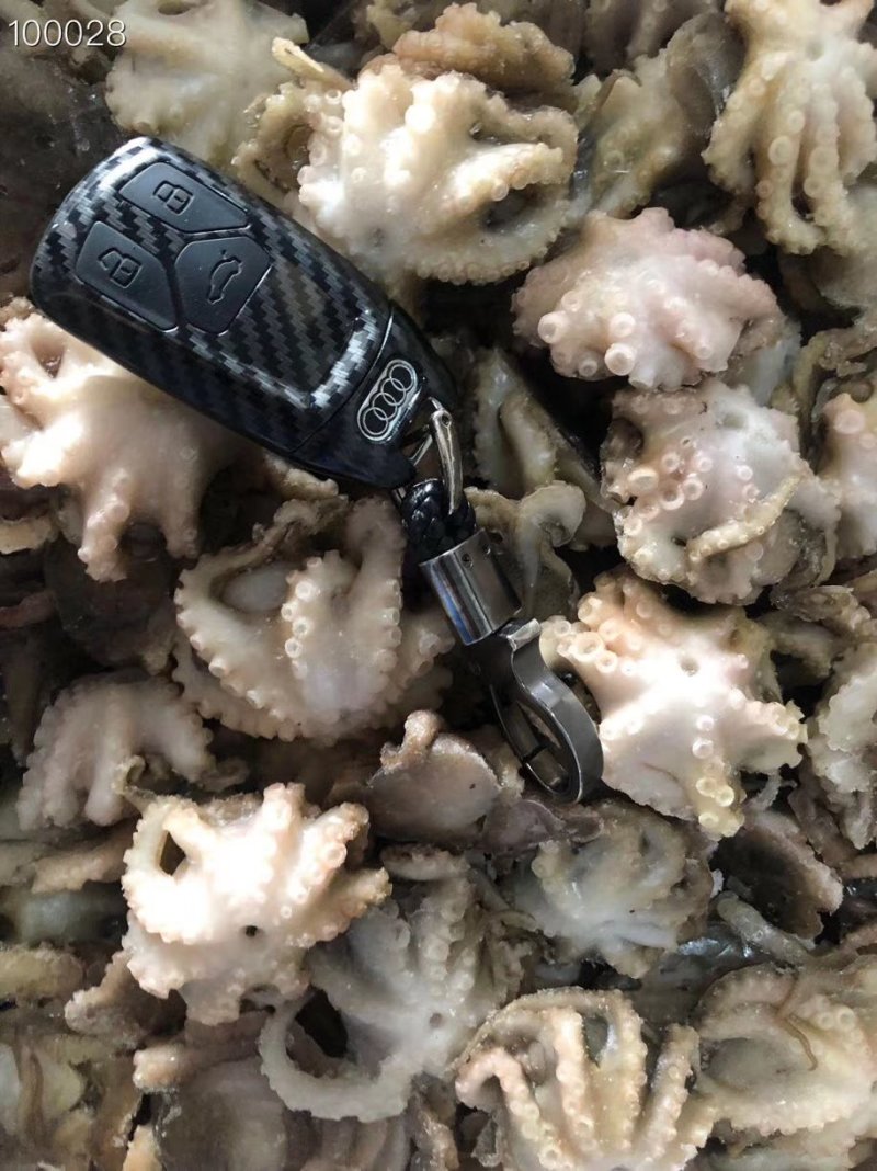 辽宁东港新鲜加工翻花小八爪