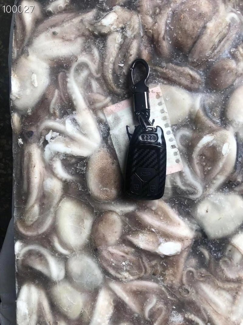 辽宁东港新鲜原浆速冻八爪鱼质量好价格优