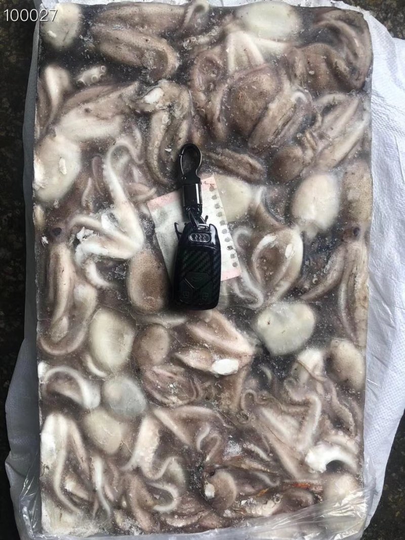 辽宁东港新鲜原浆速冻八爪鱼质量好价格优