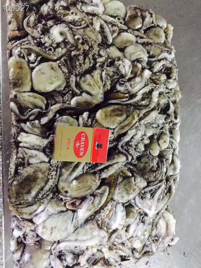 辽宁东港新鲜原浆速冻八爪鱼质量好价格优